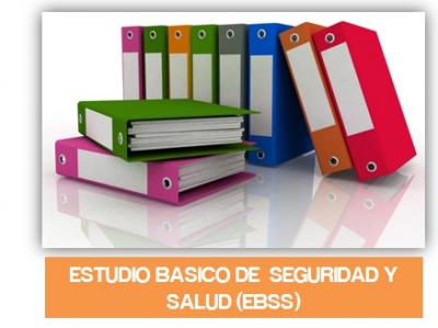 Estudio basico de seguridad y salud